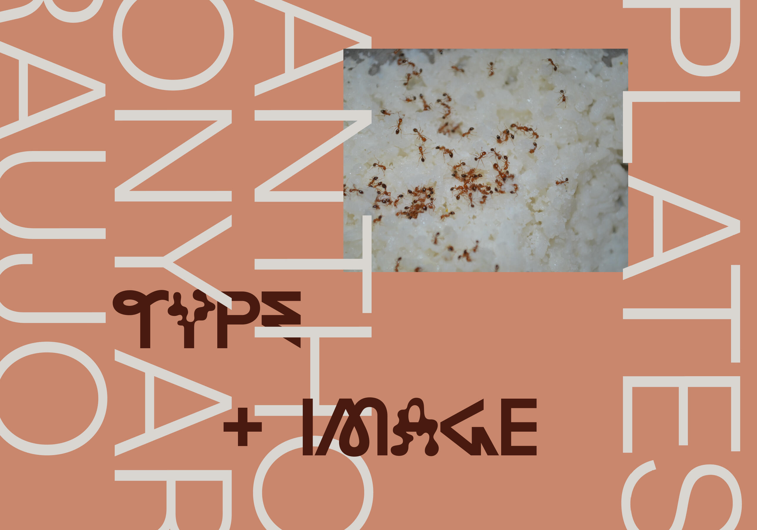 Type & Image Plates — A Visual Exercise